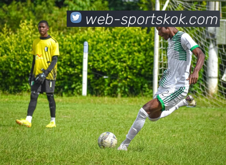 KOK体育平台生态图