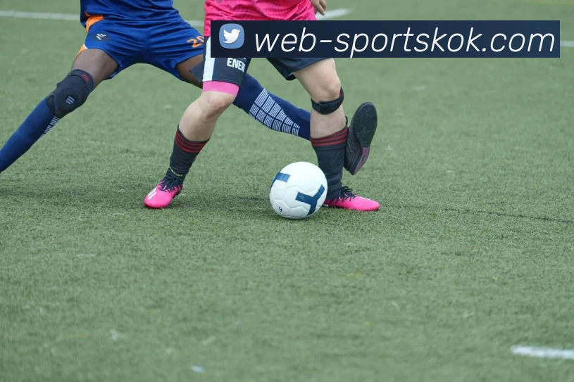 KOK体育APP 封面图